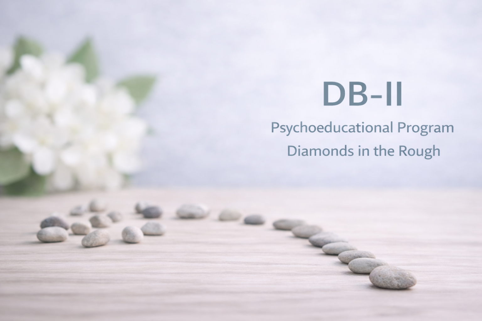 db-ii-eng-XiSiUD9roF6NywOA
